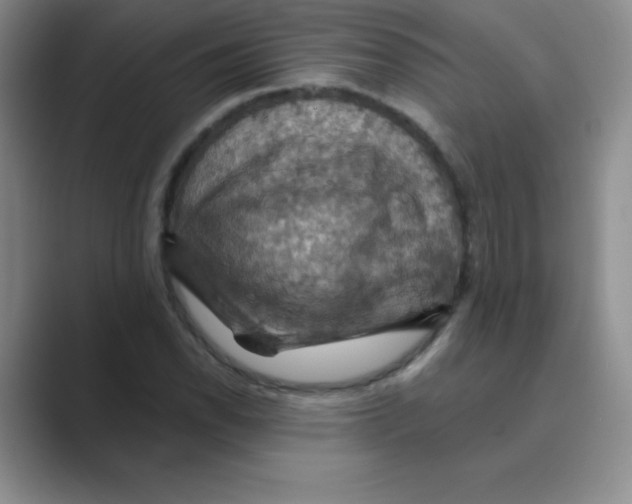 X0000088691118200706281957