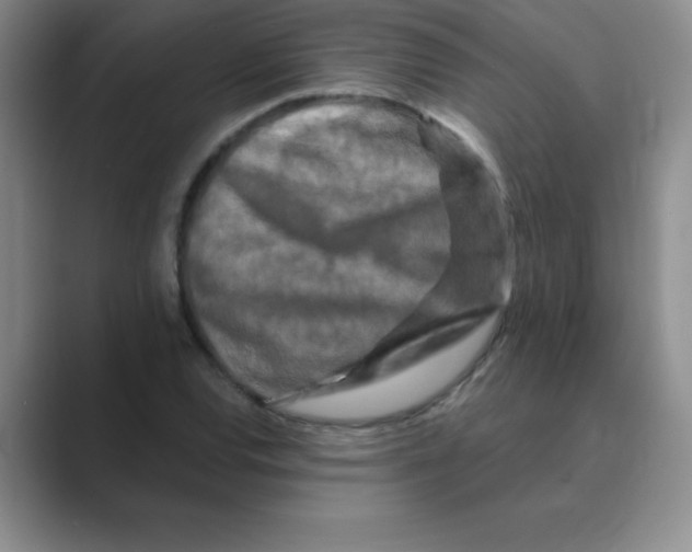 X0000088691120200706281957