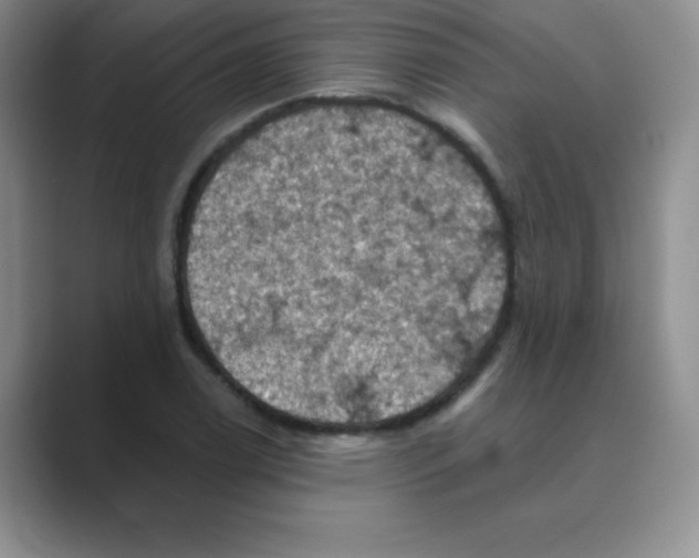 X0000088691122200706281957