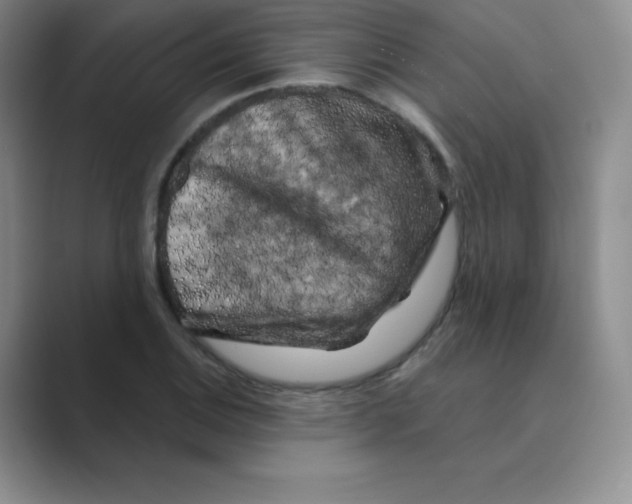 X0000088691124200706281957