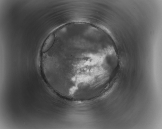 X0000088691125200706281957