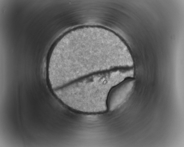 X0000088691126200706281957