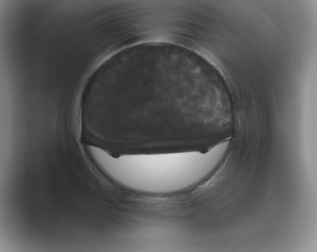 X0000088691127200706281957