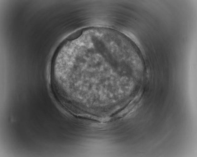 X0000088691128200706281957