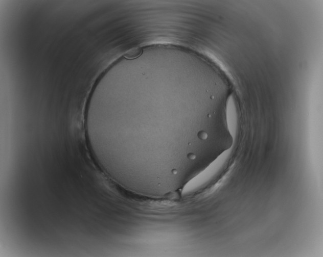 X0000088691129200706281957