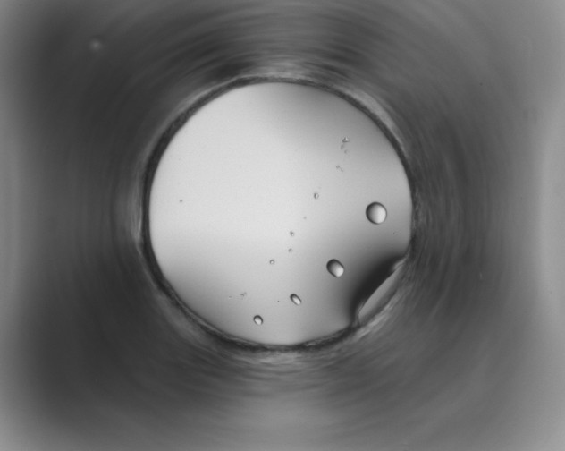 X0000088691131200706281957