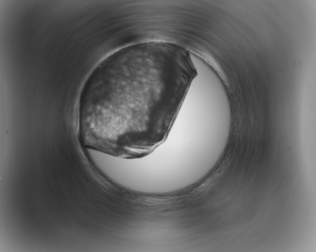 X0000088691132200706281957
