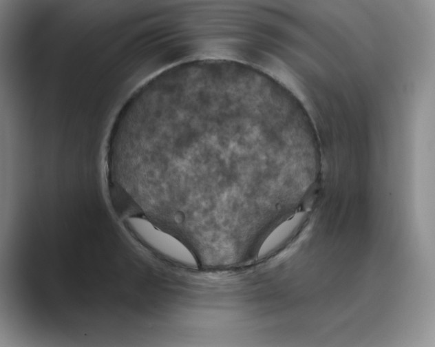 X0000088691133200706281957