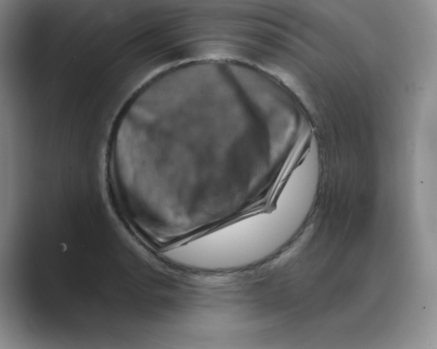 X0000088691134200706281957
