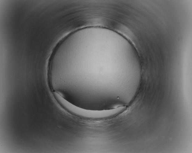 X0000088691135200706281957