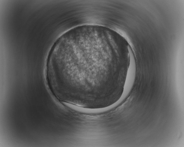 X0000088691136200706281957