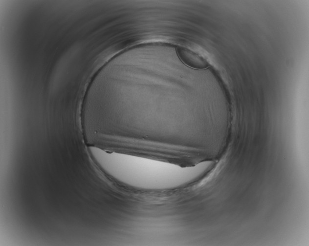 X0000088691137200706281957