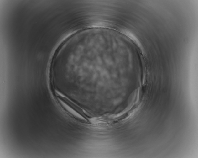 X0000088691138200706281957
