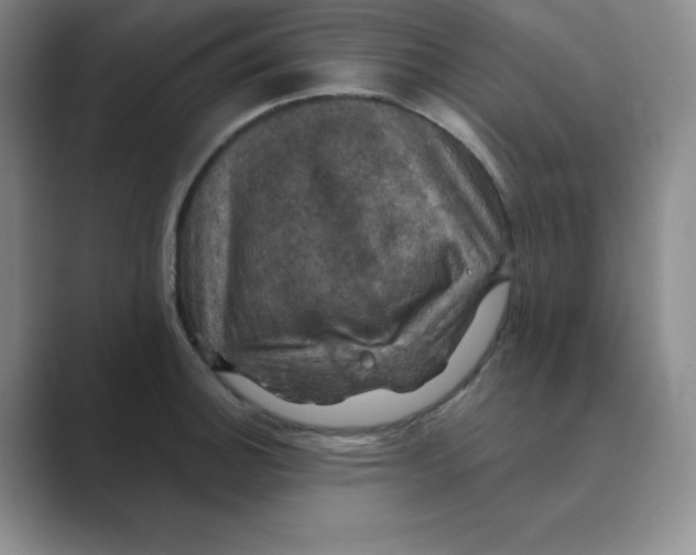 X0000088691140200706281957