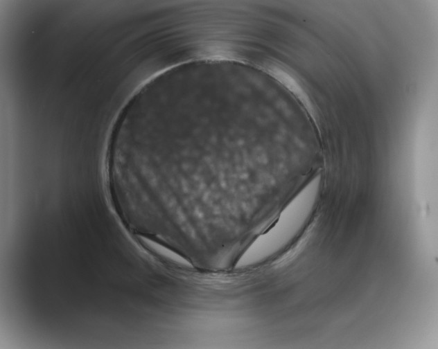 X0000088691141200706281957