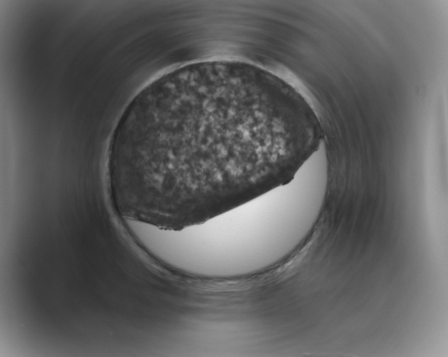 X0000088691142200706281957