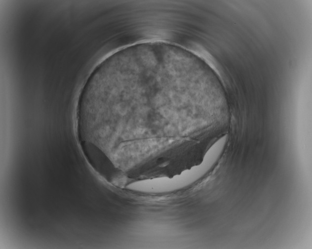 X0000088691143200706281957