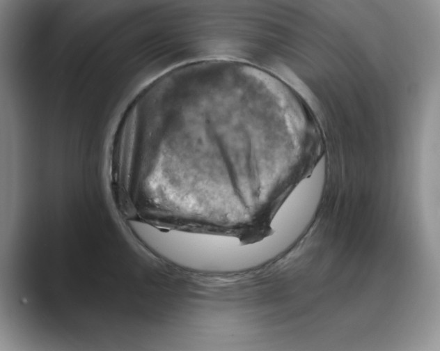X0000088691144200706281957