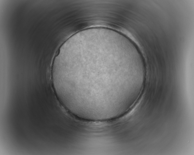 X0000088691145200706281957