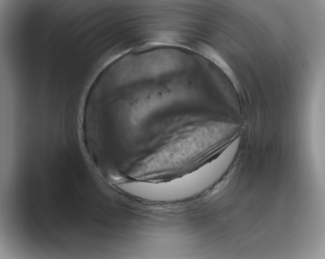 X0000088691146200706281957