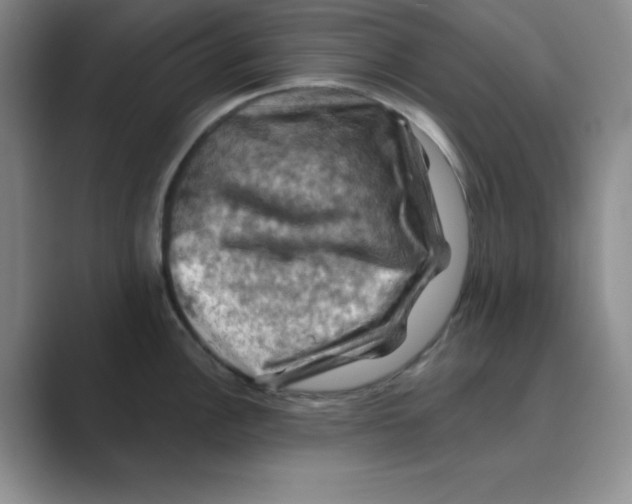 X0000088691148200706281957