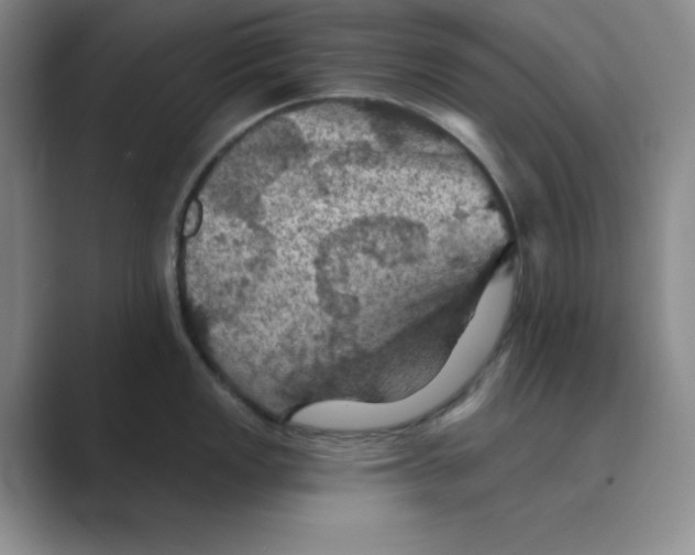 X0000088691149200706281957