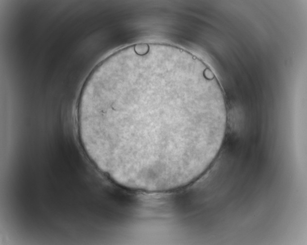 X0000088691150200706281957