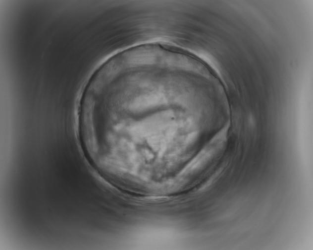 X0000088691151200706281957