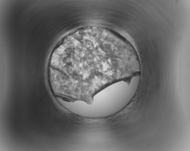 X0000088691152200706281957