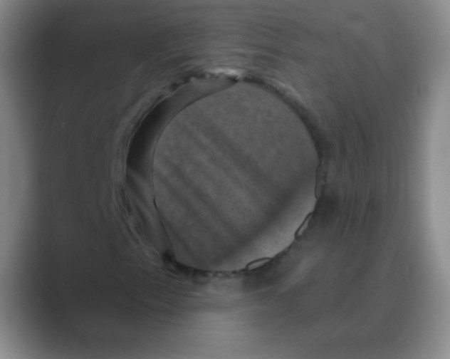 X0000088691153200706281957