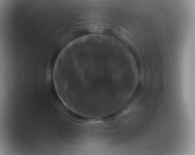 X0000088691154200706281957