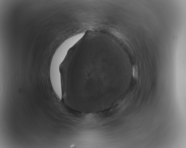 X0000088691155200706281957
