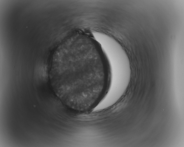 X0000088691156200706281957