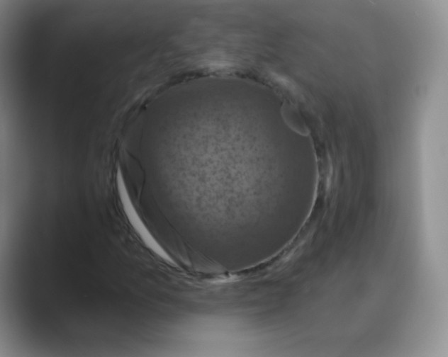 X0000088691157200706281957