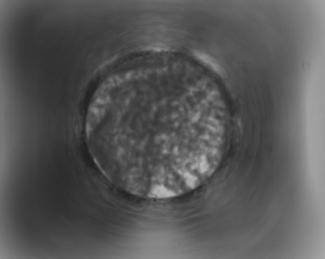 X0000088691158200706281957