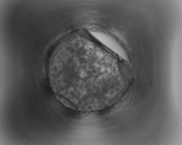 X0000088691159200706281957