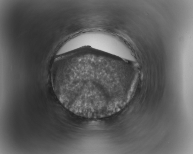 X0000088691160200706281957