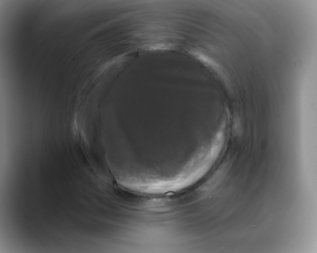 X0000088691161200706281957