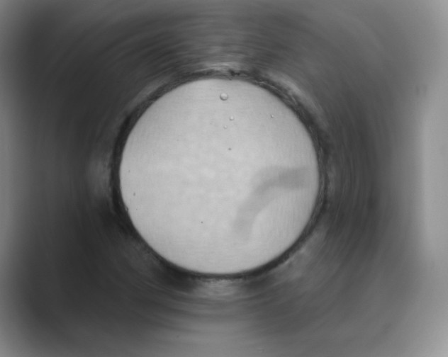 X0000088691162200706281957