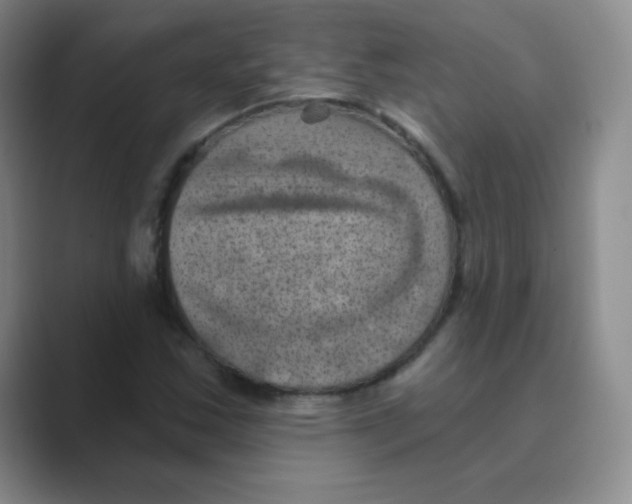X0000088691163200706281957