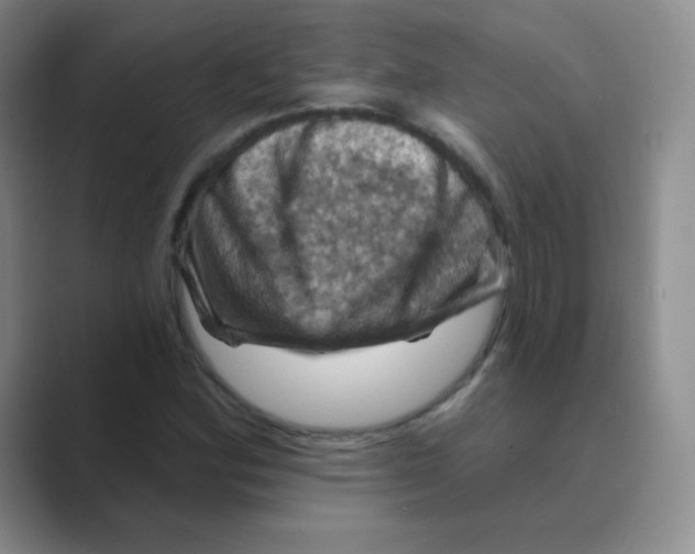 X0000088691164200706281957