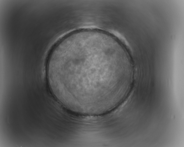 X0000088691167200706281956