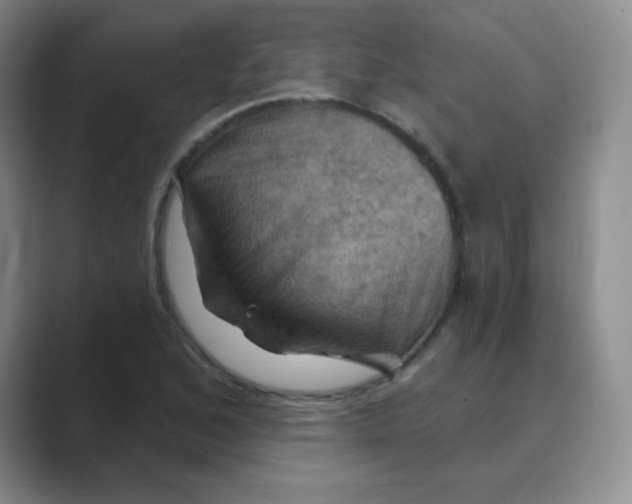 X0000088691168200706281956