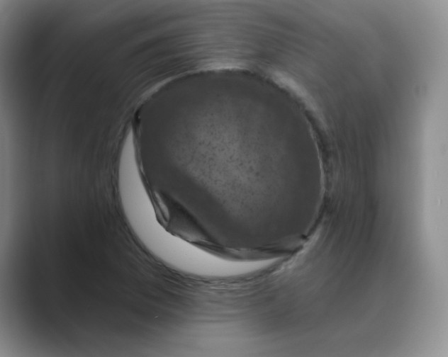 X0000088691169200706281956