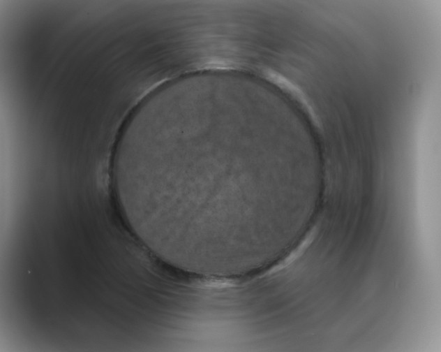 X0000088691170200706281956