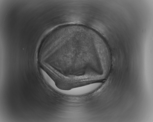 X0000088691172200706281956
