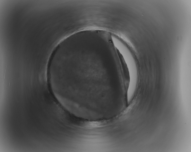 X0000088691173200706281956