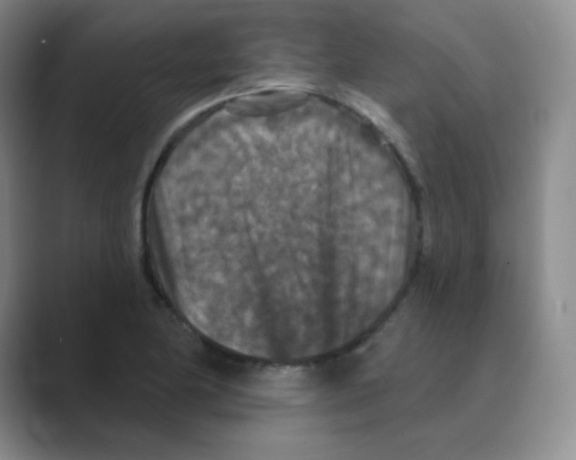X0000088691174200706281956