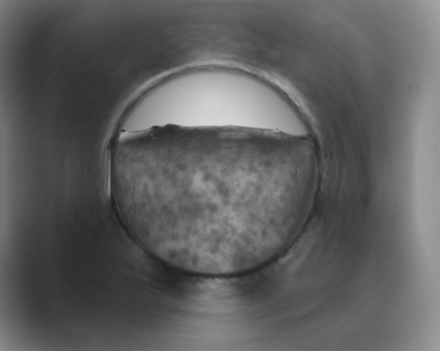 X0000088691175200706281956