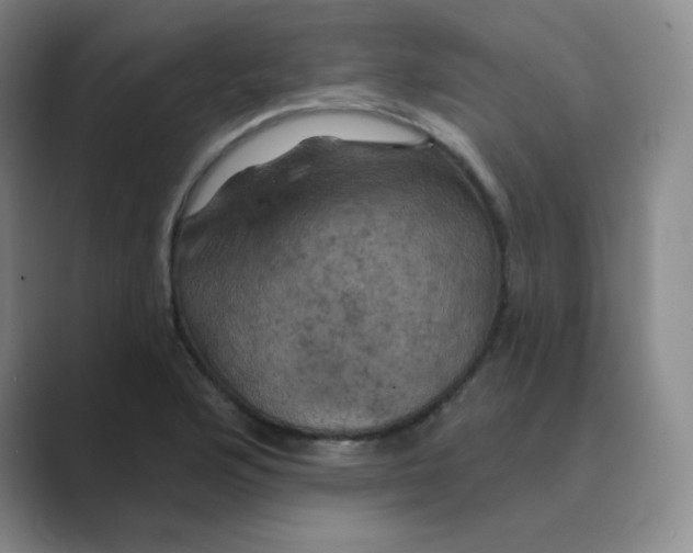 X0000088691176200706281956
